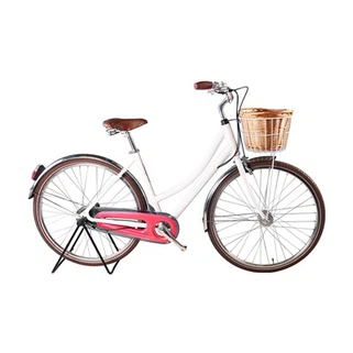 Bayan şehir bisikleti ile sepet